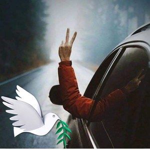 Meet your Posher, Yolanda